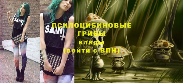 меф Няндома