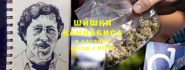 твердый Новодвинск