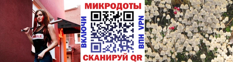 Галлюциногенные грибы мицелий Пустошка